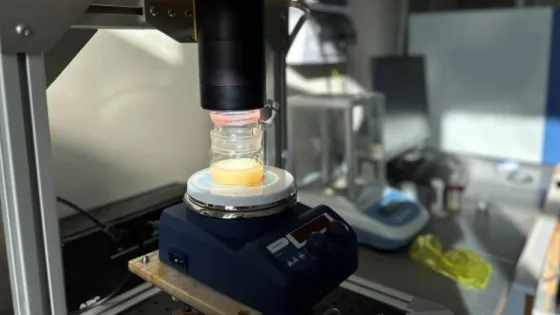 01JSGZC0MSCYXR7CMR6DZC1HA0-v1