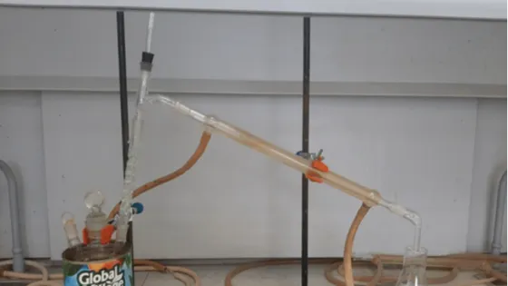 01JSMP300K6SR91C3YC5QE1Z5X-v1