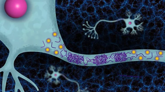 20250411-sticky proteins-header-7