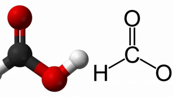muravinaya-kislota-4