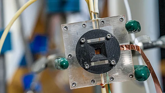 scientists-crack-decad-1