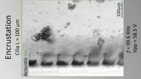 Снимок экрана 2025-04-29 в 21.10.51