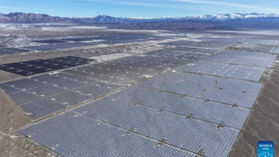 15e0d31a4966b36c20d889f0df4ae229