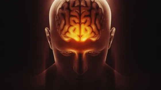 3d-render-medical-image-male-figure-with-brain-highlighted_1048-5873-v1