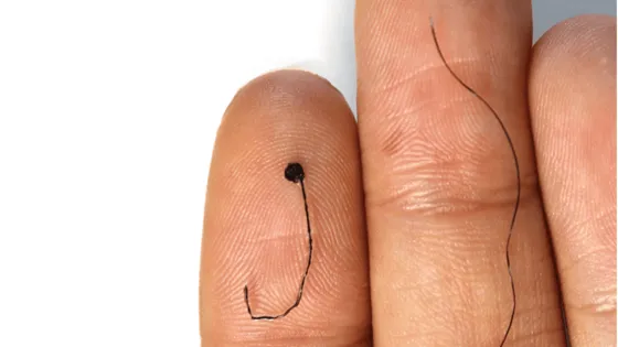 hairlike-electrode-1-v1