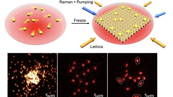 mit-freeatoms-02-press-1-1-1316x877