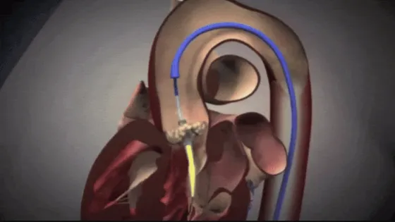 Снимок экрана 2025-05-08 в 21.12.06