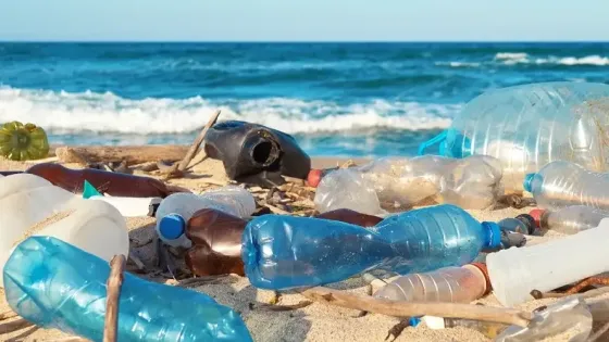 1c8381d3-8f8f-489a-b4c2-ac5058e87e78