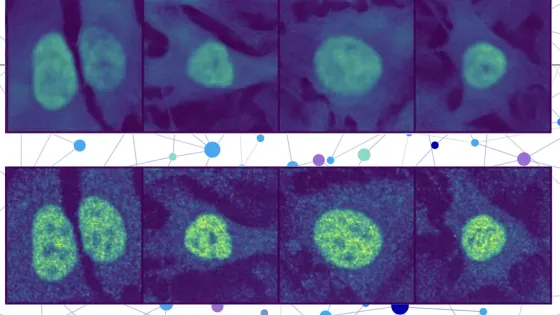 MIT-ProteinLocalization-01-press_0