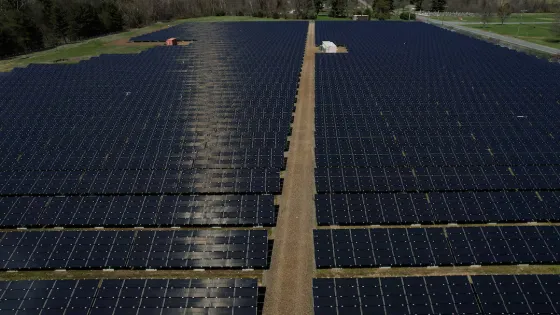 TY4GADPGQFJQNOHBRPNZHYZ4AI