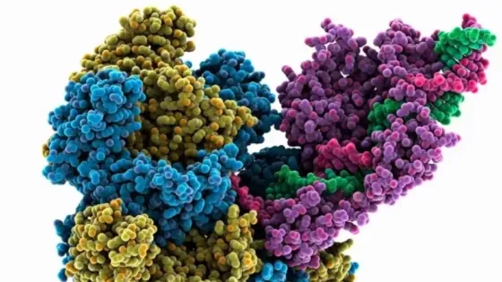 02eaa763-da1e-45f7-bf40-c38aad5eb94c