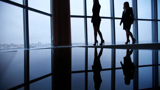 siluety-predprinimatelei