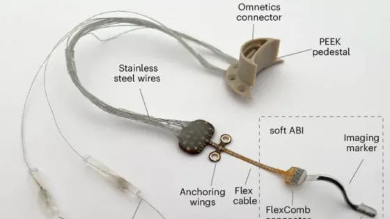 Снимок экрана 2025-05-21 в 22.57.03