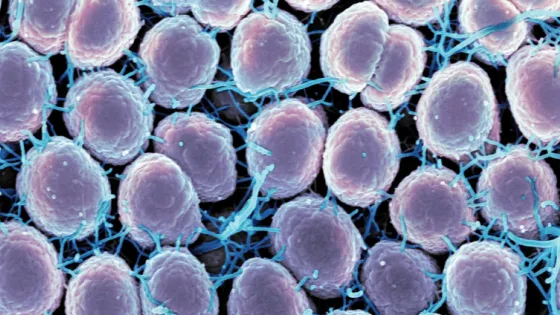 682e5b08b0398_img_tablet