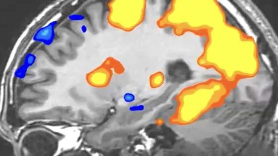 Снимок экрана 2025-05-22 в 23.54.53
