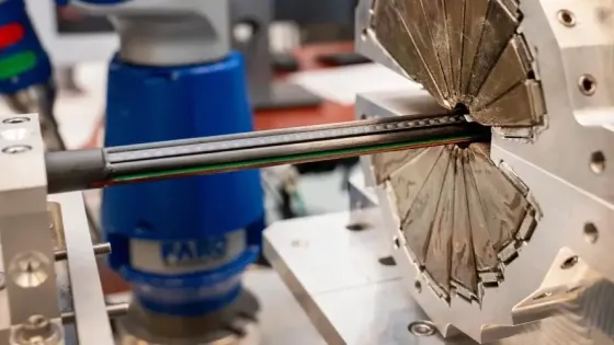 5577b0a5-a414-442c-98ed-cbf6e9f0cf91