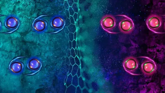 eb228ebe-285a-471c-b17b-2f2eea7d628f