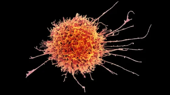 6830ff5b783ba_img_tablet