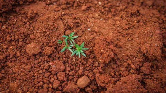 avtor-paul-mocan-istochnik-Unsplash-1-scaled