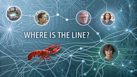 abstraction--boundaries-of-reason---images---inter