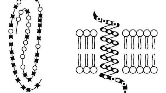 01JWC0H0XG93PD1N2J9JD5C8DC-v1