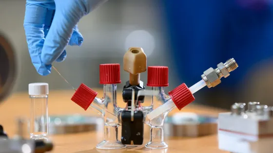 AQA45yAaj9kADG8tHNlZhUD5O8XdqdytHoah6NF0p_-Q8shzNhE-Ppt8bod-9Q7F8aLPAMohzrKToftVUcsn6nD2WfY