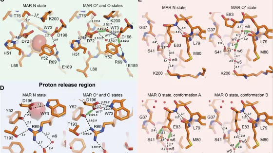 01JWEQ8VSJ105BJK7CRHY389RM-v1