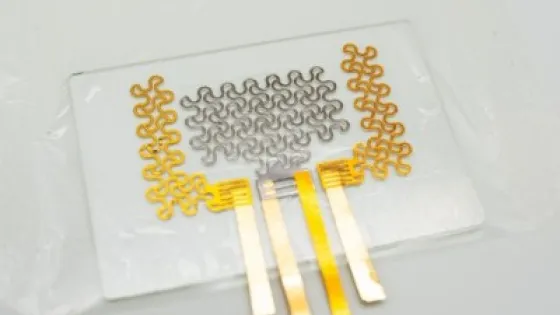 qirth6eAz1m5z2m4IV7FCz0ZfjgeKlWCq2lHNz18