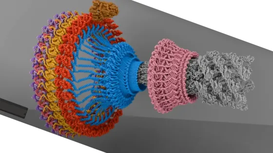 01JWS44WDQZT9N2XTSRAWPZC8A-v1