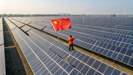 the-field-is-all-filled-with-solar-panels-and-in-t