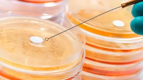 b689b251-746d-4f5e-9478-db939218d728