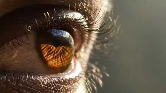 00712186-f91b-46fb-b0e2-bd9f6ed5c318