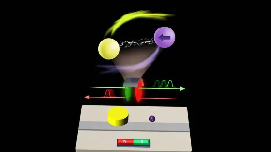 sholttsgr-yyapm-scaled