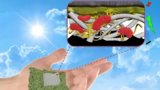 01JXG5FRR64HAECCG3HGYCB167-v1