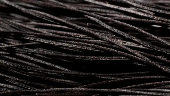 extreme-close-up-squid-ink-black-spaghetti