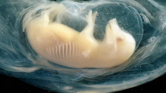 photo_2025-06-16_17-22-56