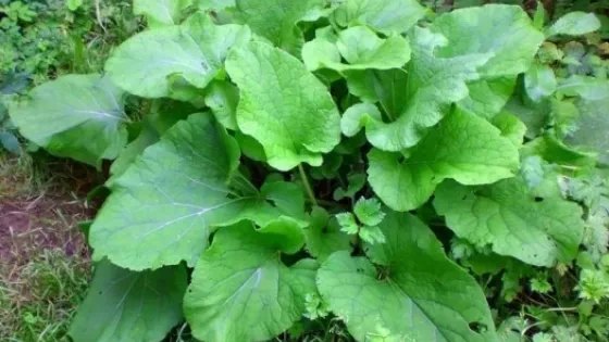 1e4642ed89d35c3d640fb0d369110c2aa1b947c4