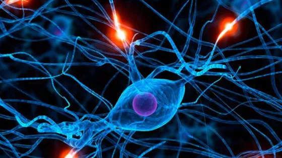 c69e8f1ae422a507cd1a8d70ce0bd45c_XL