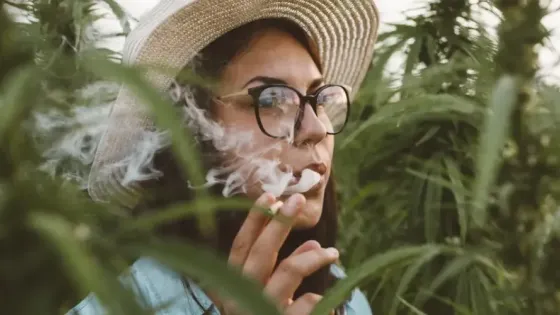 b04047d2-839d-435c-9bc1-c0d08e5e8913