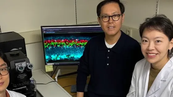 dba7a523-5fde-4d92-a248-54fbce4c2572