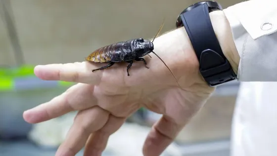 01JY7EF8QWWBJAE8GQDRYM40GQ-v1