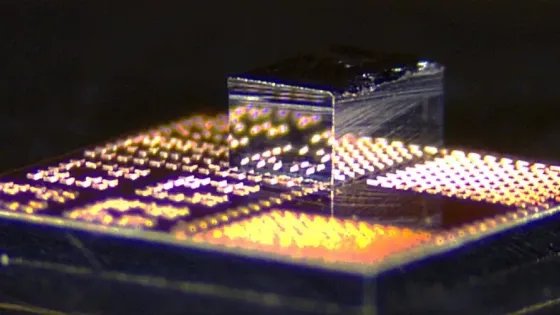 c3cf6512-fa6f-4f58-b282-6f43097f4015