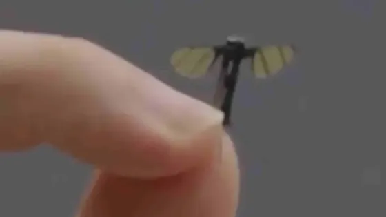 0d399be8-34cf-4fe4-89e4-e53361c0778f