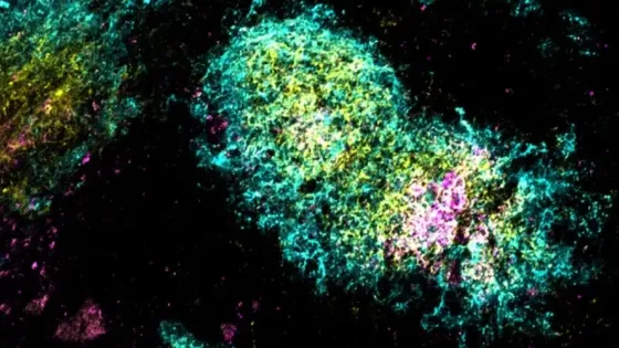 ff53f3c1-5309-47ba-a9e0-8f3bf0ad3317