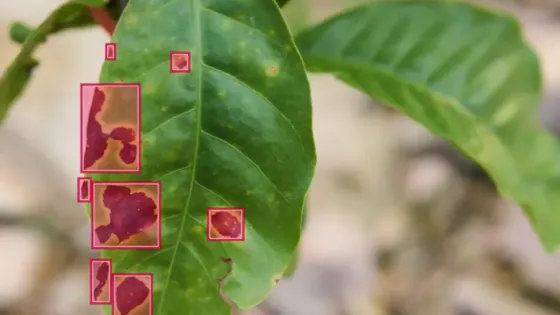 ba4577696f747d5e834108cef12f58da