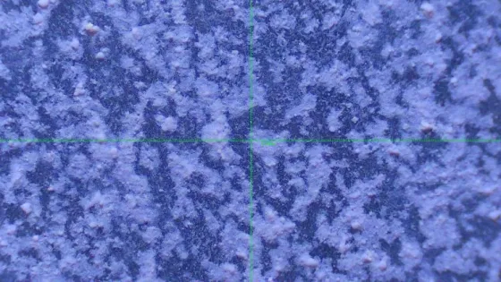 3pw6-large