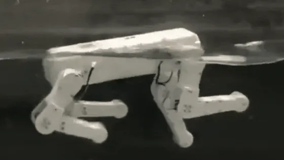 Снимок экрана 2025-06-28 в 14.05.26