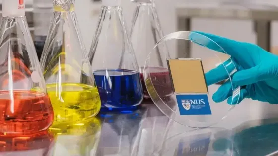 19eaece6-cf04-48e9-bc82-504f01d678cd