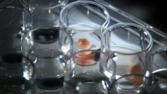 3a1794a7-3cd2-4dfb-a197-963c6f3e0da8