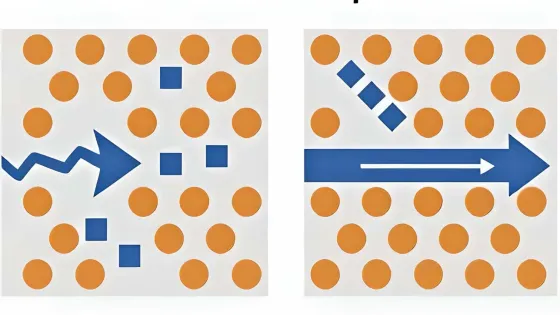 snapedit_1751353263416-fotor-enhance-2025070110154